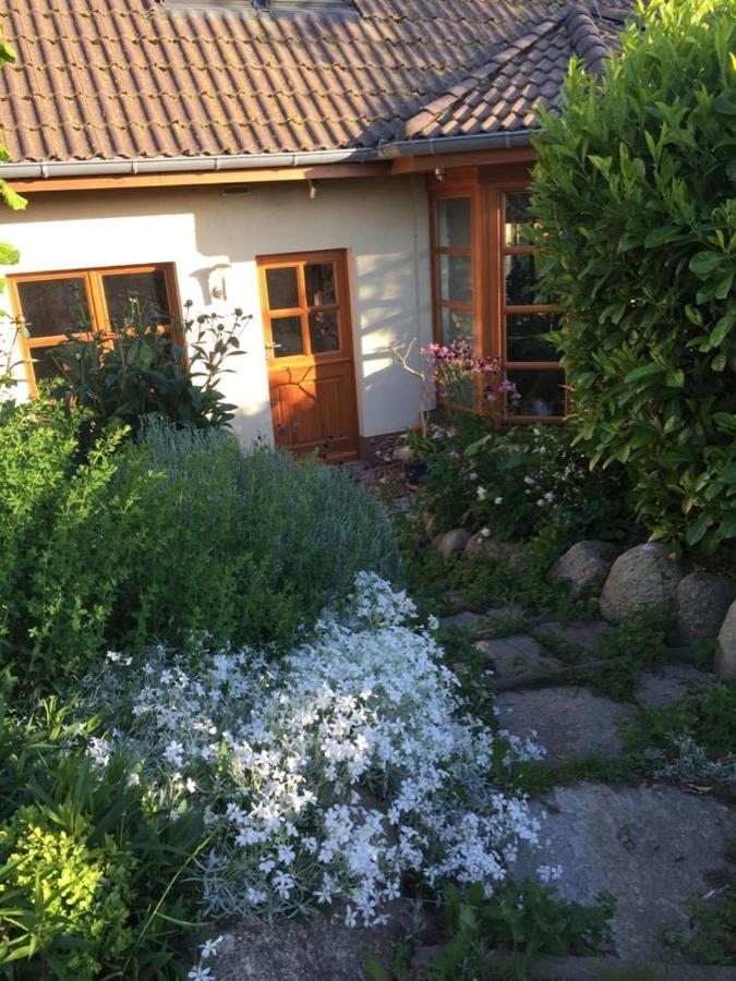 Ferienwohnung Stockrose ミデルハーゲン エクステリア 写真